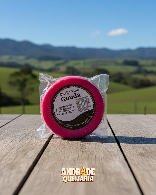 Queijo Tipo Gouda - 490g foto produto 19